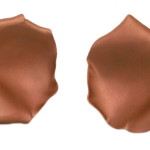 JAR Titanium Rose Petal EarClips