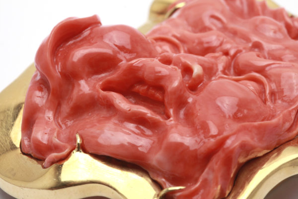 Coral & Gold Mask - Image 2